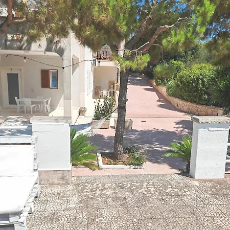 Damami Сельва-ди-Фазано