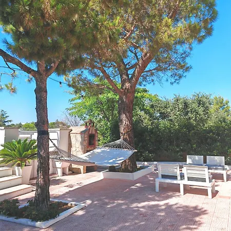 Damami Сельва-ди-Фазано